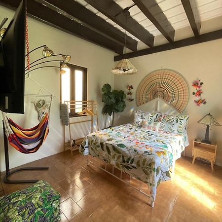 The Garden Apartment, The Willow Apartment, & The Tropical Apartment At Casa Of Essence In Old San Juan Exteriér fotografie