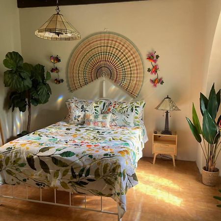 The Garden Apartment, The Willow Apartment, & The Tropical Apartment At Casa Of Essence In Old San Juan Exteriér fotografie