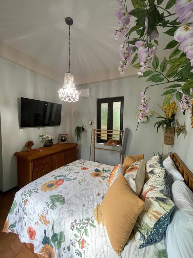 The Garden Apartment, The Willow Apartment, & The Tropical Apartment At Casa Of Essence In Old San Juan Exteriér fotografie