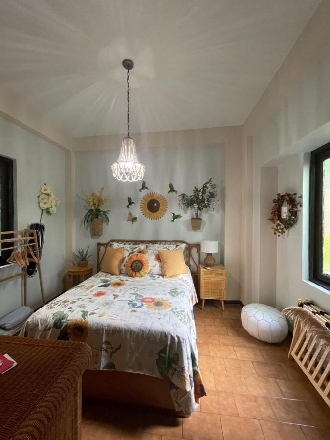 The Garden Apartment, The Willow Apartment, & The Tropical Apartment At Casa Of Essence In Old San Juan Exteriér fotografie