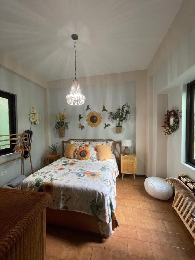 The Garden Apartment, The Willow Apartment, & The Tropical Apartment At Casa Of Essence In Old San Juan Exteriér fotografie