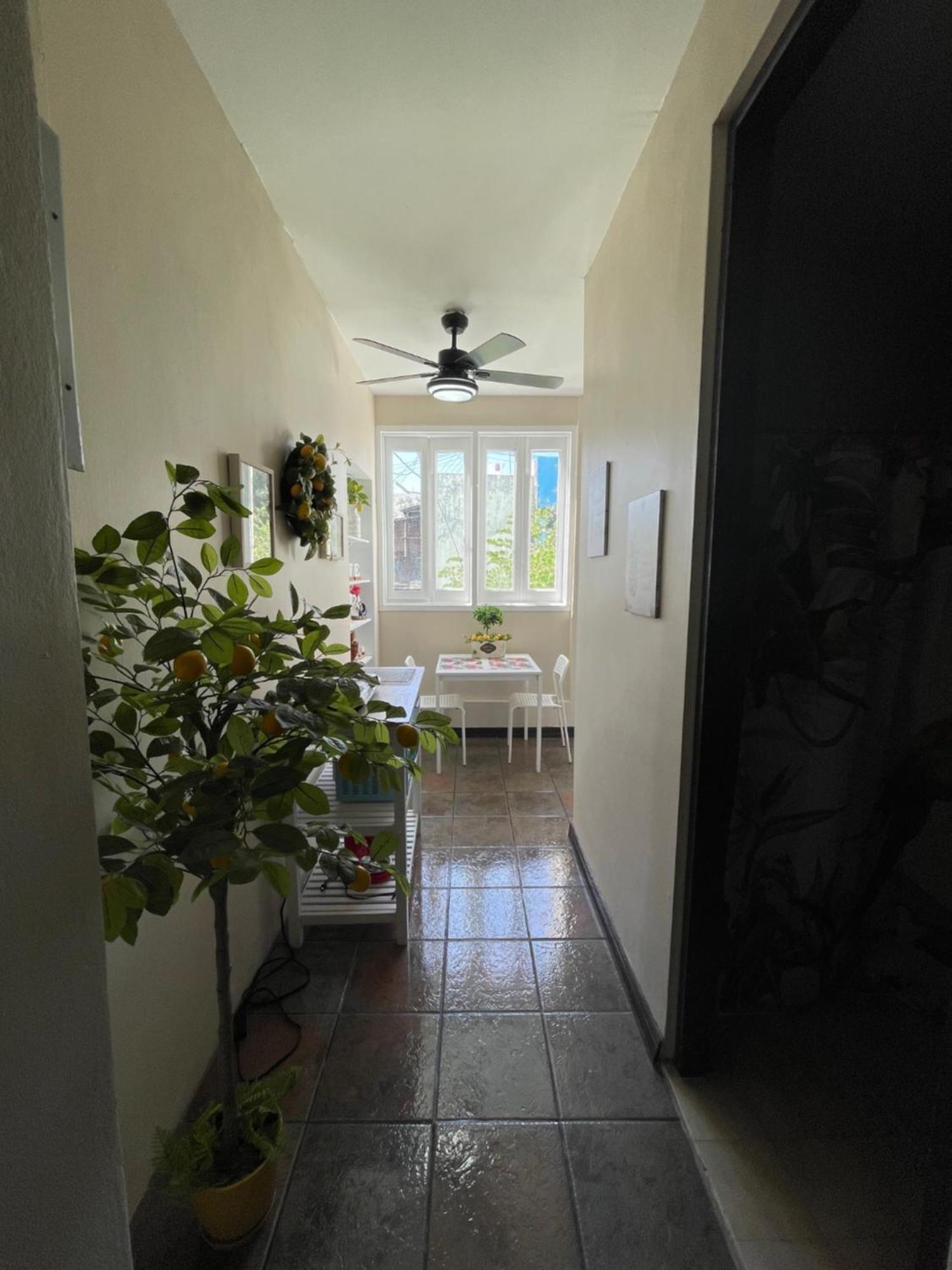 The Garden Apartment, The Willow Apartment, & The Tropical Apartment At Casa Of Essence In Old San Juan Exteriér fotografie