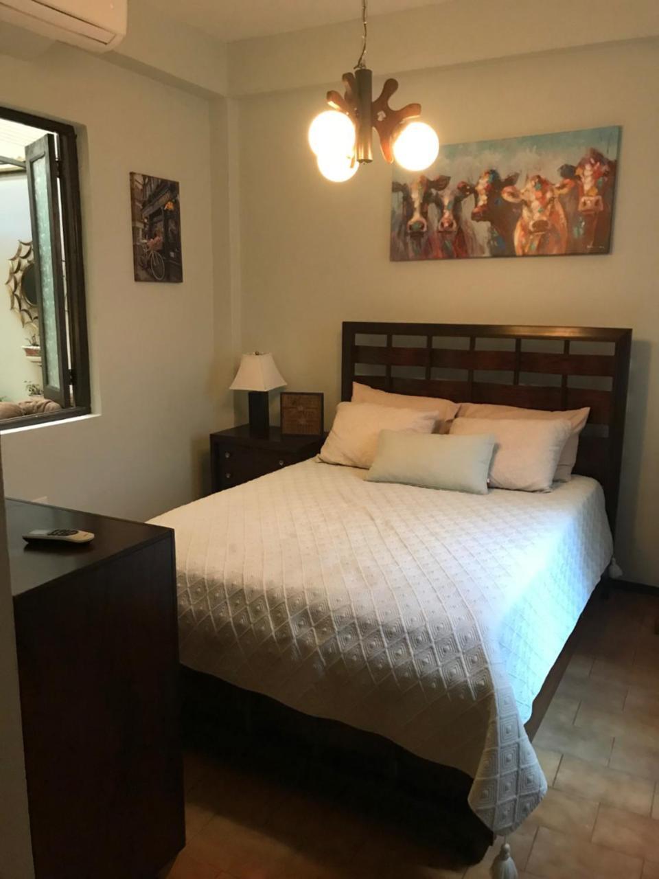 The Garden Apartment, The Willow Apartment, & The Tropical Apartment At Casa Of Essence In Old San Juan Exteriér fotografie